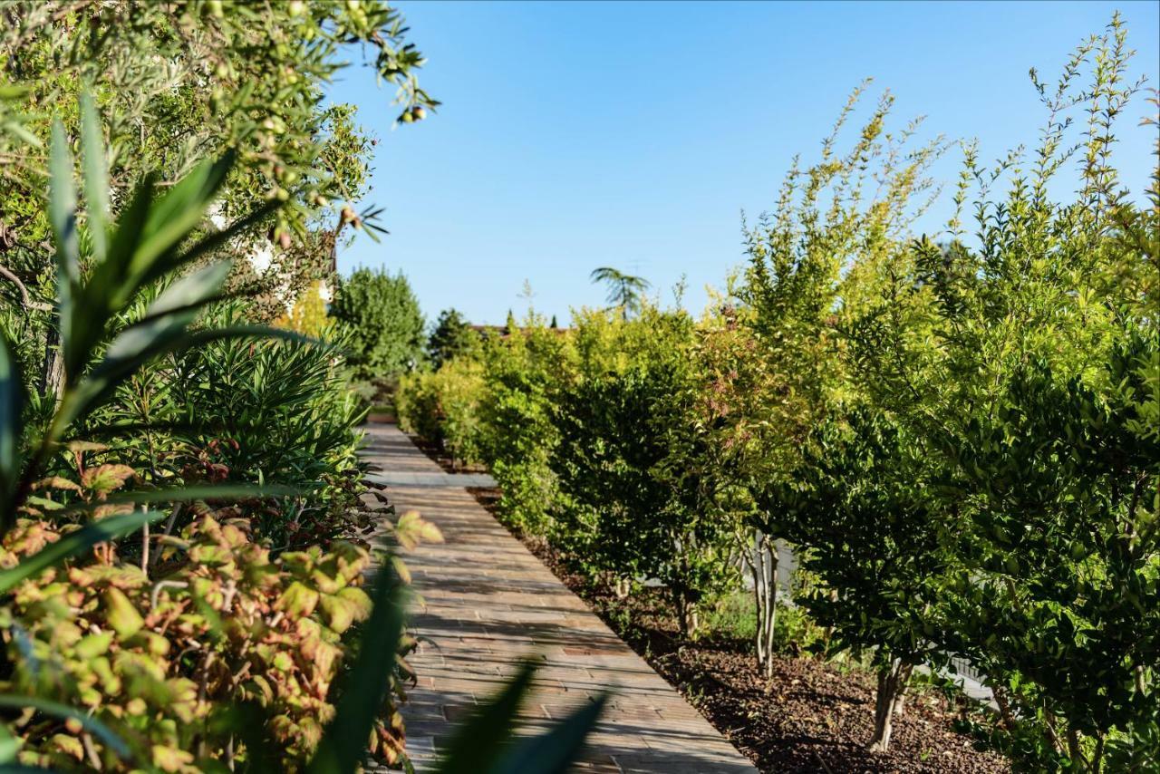 Casa Di Alex | Sirmione Lejlighed Eksteriør billede